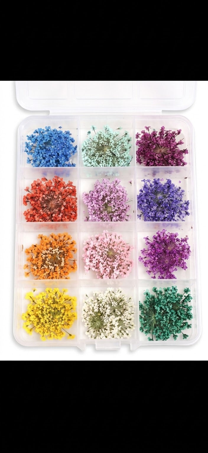 Set Flori Uscate Nail Art